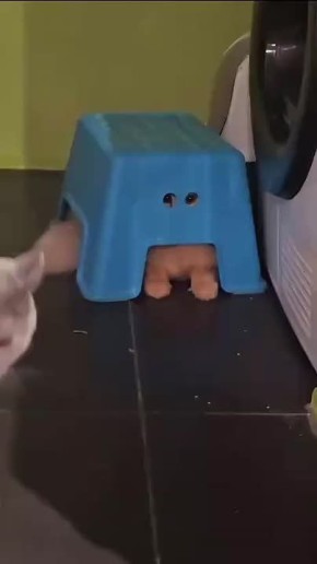 ,      ,   