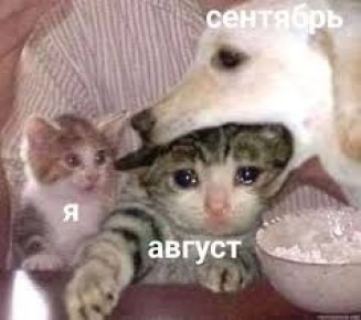   .     ,    