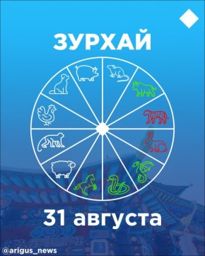  31:     