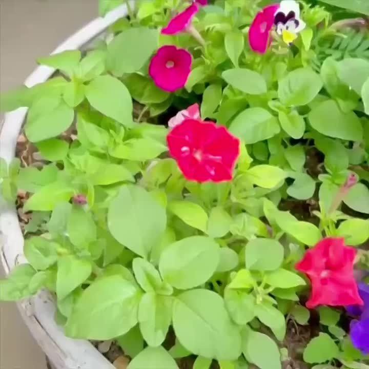   -    