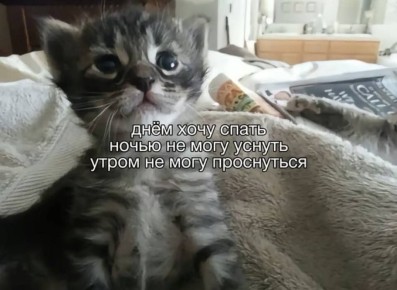  ). 5   : ,      ,       ,    ,      ,     