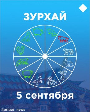   5 :      