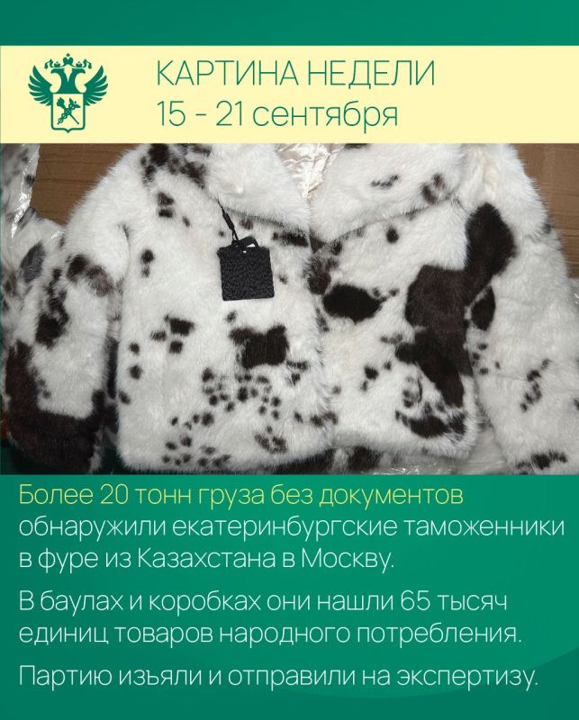 Картина недели. Работа таможенников в регионах: