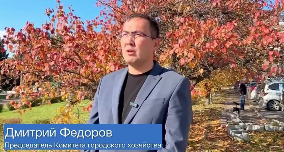 Мэр Улан-Удэ Игорь Шутенков поручил усилить отлов бездомных собак