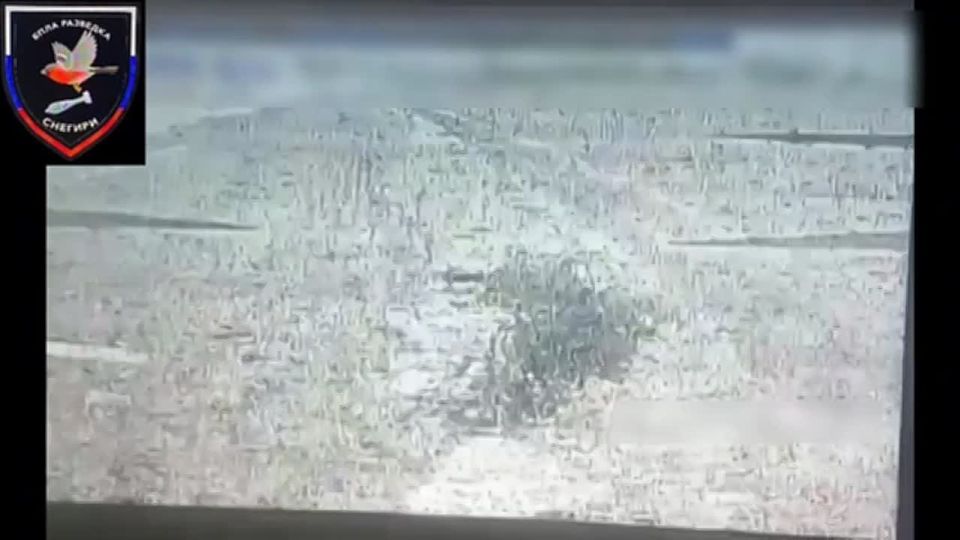    37      &quot;&quot;    ,   