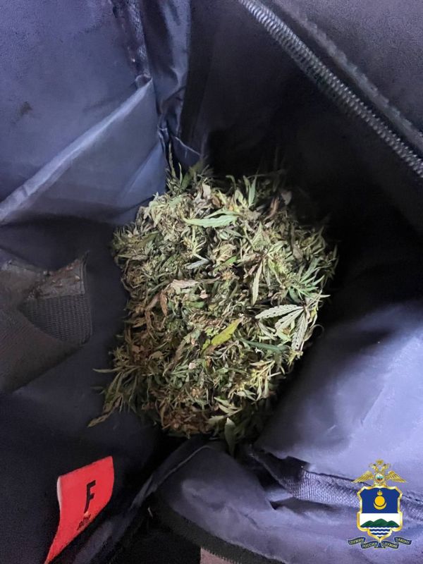 В Иволгинском районе сотрудники полиции выявили факт незаконного хранения наркотических средств