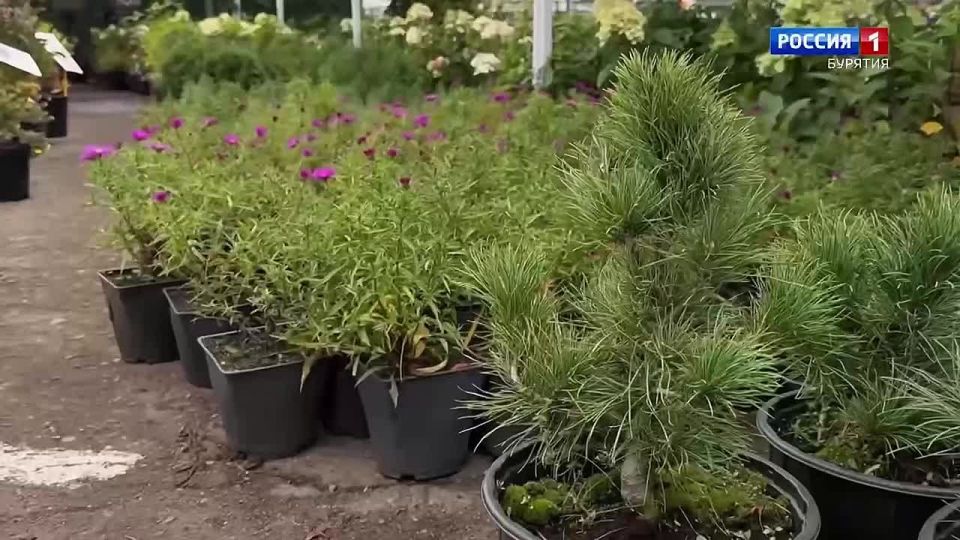  -       !    :    ,       ,    ...