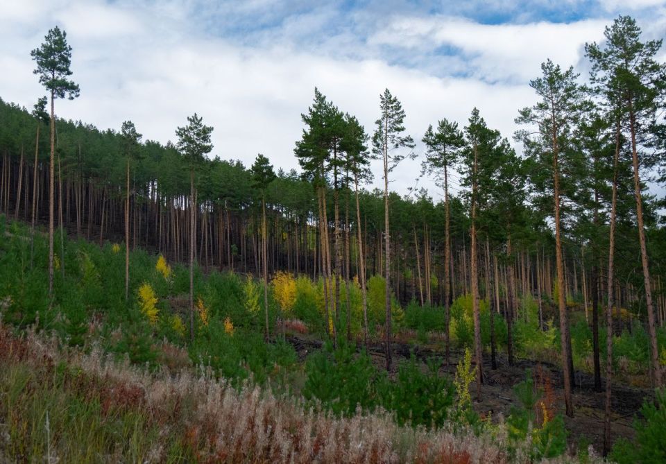 В то время как в Свердловской области метет пурга и все засыпало снегом, в Улан-Удэ золотая осень