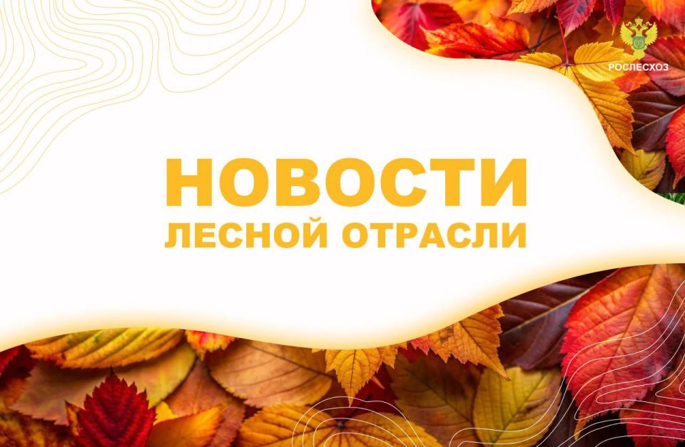 AK&M: Владимир Путин подписал закон об особенностях использования лесов при строительстве гидротехнических сооружений