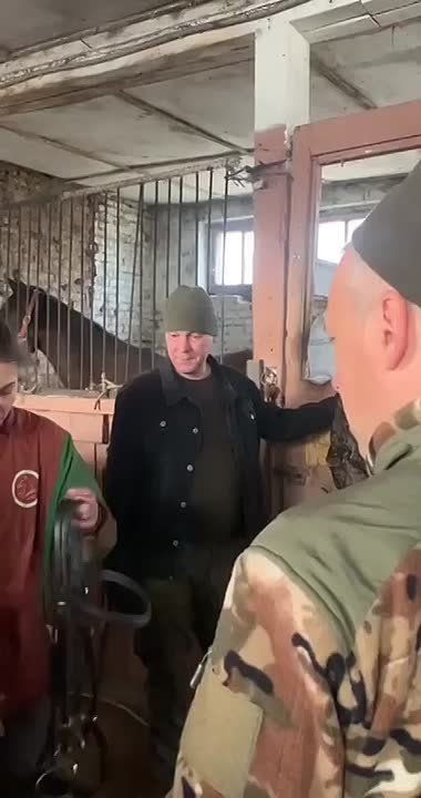 Участники СВО в Бурятии реабилитируются с помощью иппотерапии