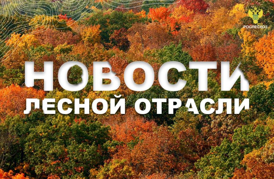 ТАСС: В Подмосковье около 300 детей приехали на съезд школьных лесничеств