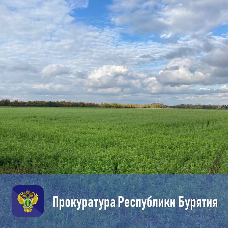 По результатам рассмотрения обращения, поступившего на личном приеме прокурора республики, устранены нарушения земельного законодательства
