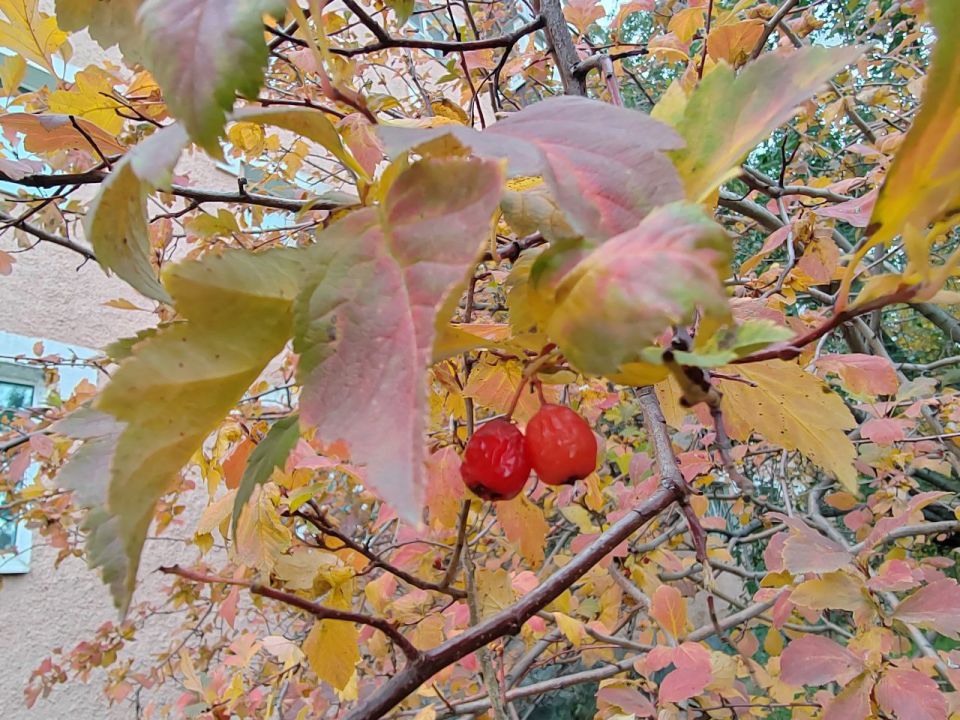 Погиб сын известных в Бурятии бизнесменов