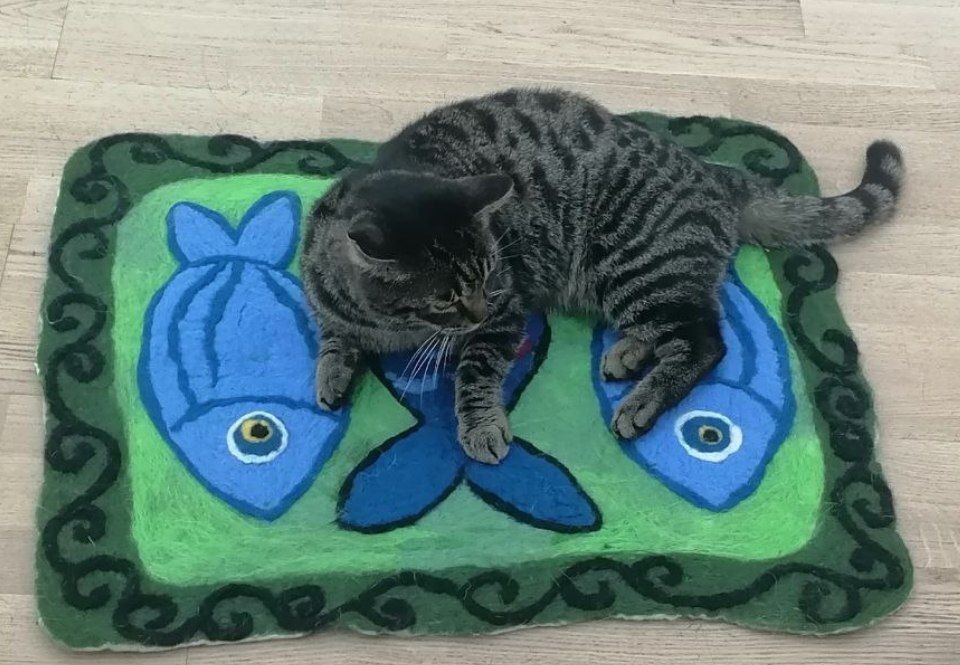 Котику Самсону - пушистому «хранителю» музея истории города Улан-Удэ - подарили коврик с рыбами