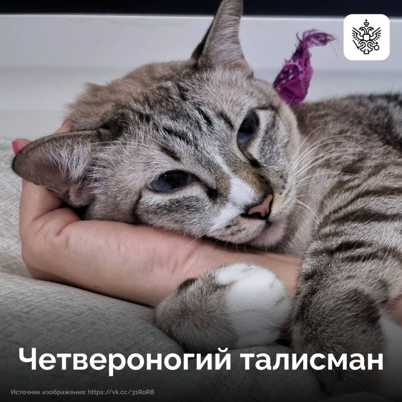 Доброта никогда не остается без ответа