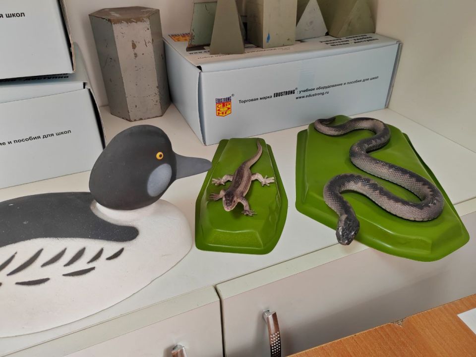 Охотничьи сборы увеличат в 5 раз