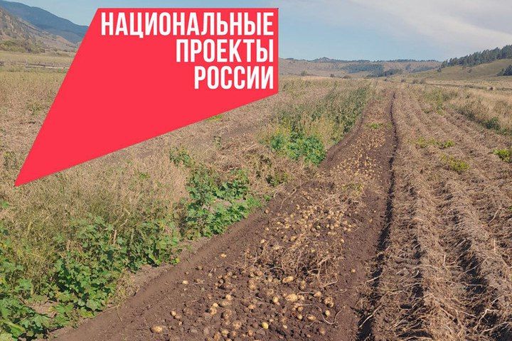 Фермер-фронтовик растит новое поколение аграриев в Бурятии с помощью государства