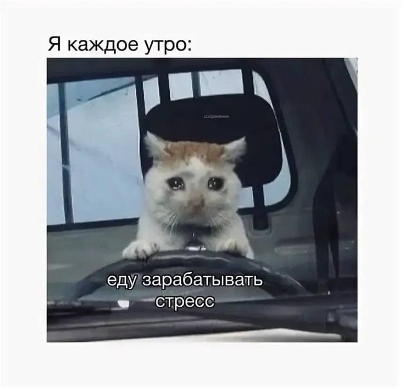 Понедельники опасны для здоровья, доказали учёные