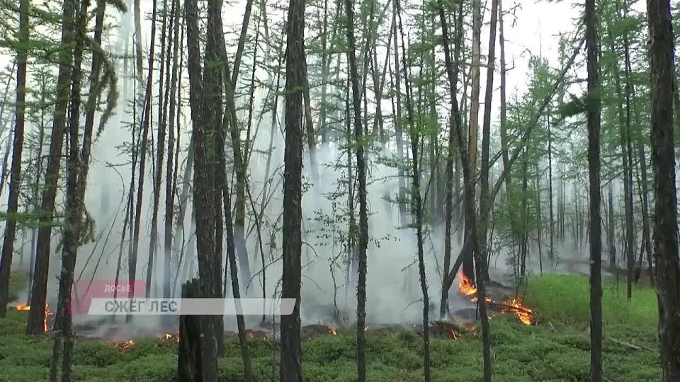 Сюжет на телеканале "Тивиком"