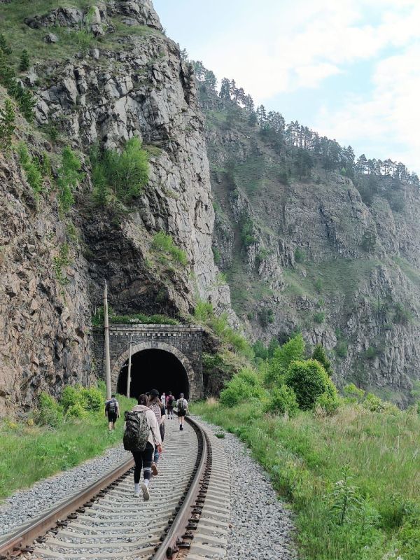 На Байкале агрессивный медведь вышел на популярный турмаршрут