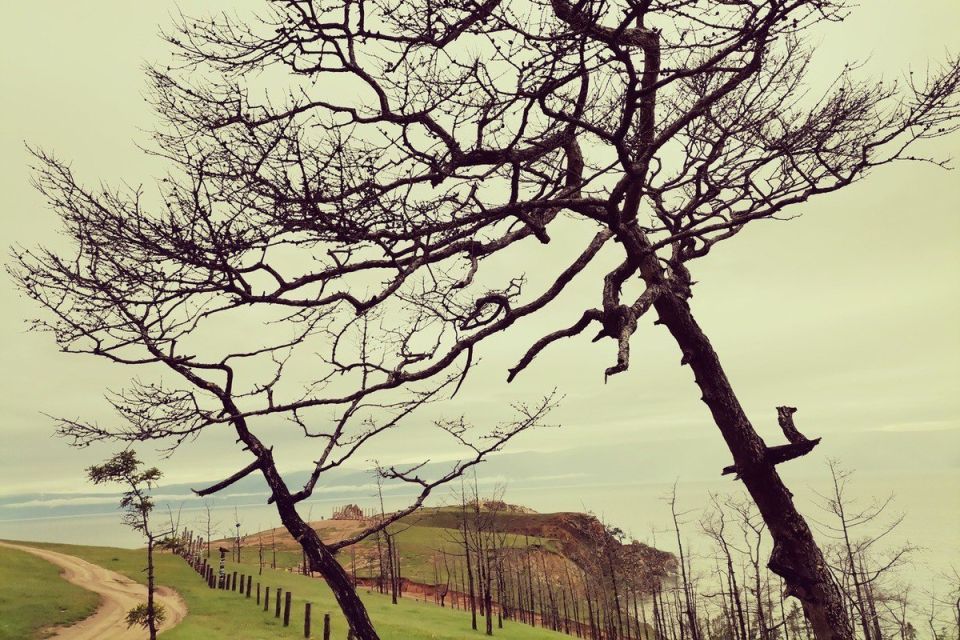 ЮНЕСКО требует согласования поправок к закону о Байкале до их принятия