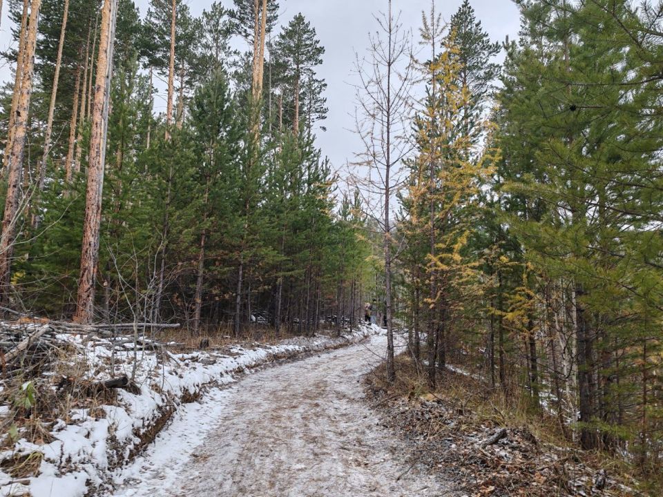      -21,     