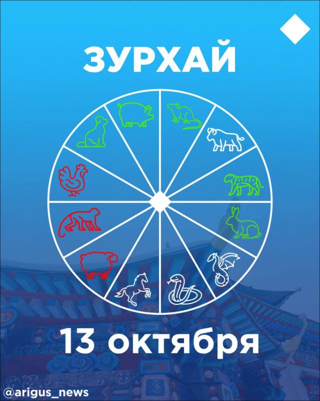   13 :     