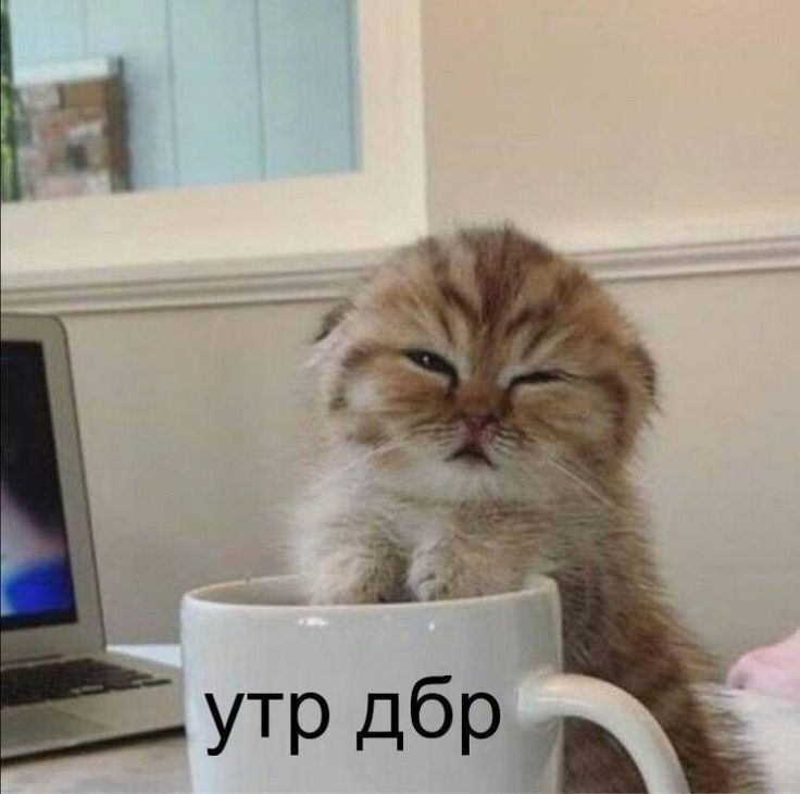    . )