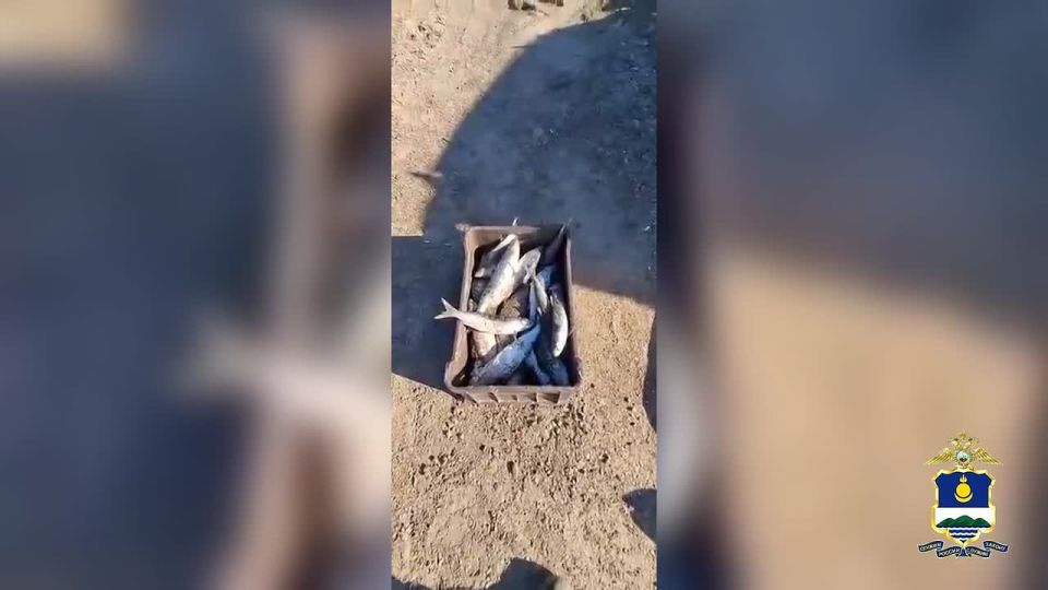 Дознавателями завершено расследование уголовного дела по факту незаконного вылова байкальской рыбы