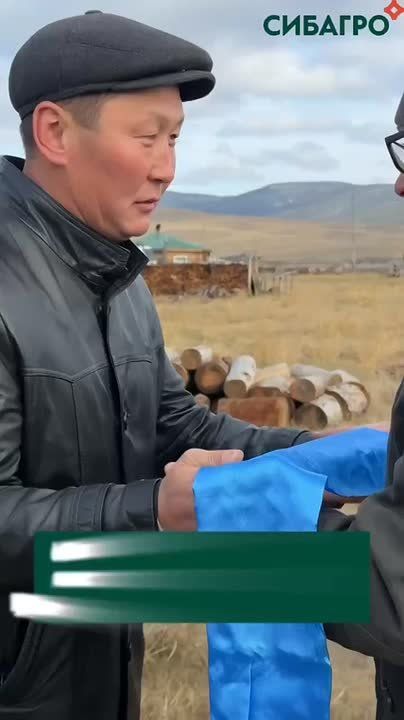 Племенные бараны из Калмыкии пополнили отары местных фермеров