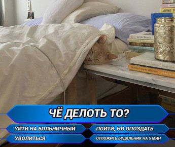  ). 16   :  ,   