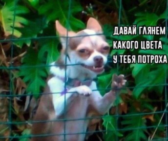               ,    