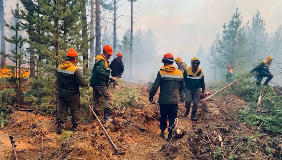 С начала 2025 года на территории республики было зарегистрировано 613 лесных пожаров