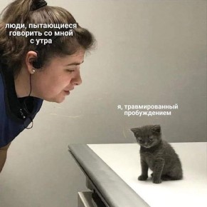  ). 17   :  ,   