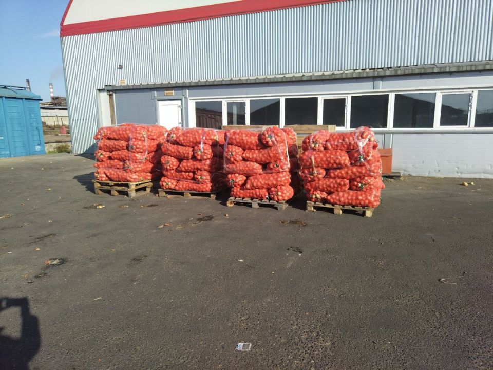 В Бурятию ввезли первую в этом году партию репчатого лука нового урожая из Казахстана