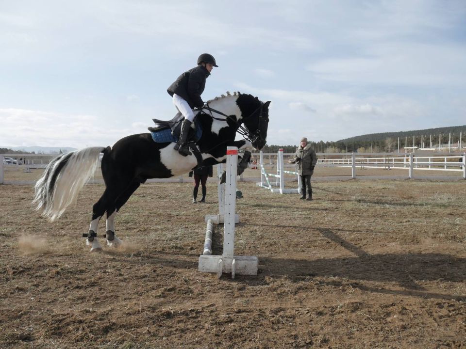 Чемпионат и первенство по конкуру и выездке состоялся в Улан-Удэ