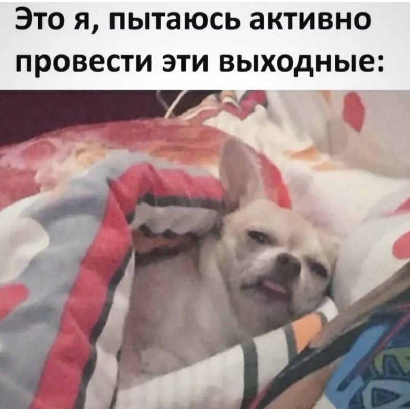 Доброе утро). 19 октября по республике переменная облачность, преимущественно без осадков, по Прибайкалью местами небольшой снег