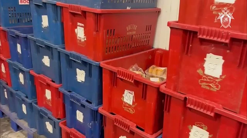 В Бурятии по уголовному делу о массовом отравлении граждан предъявлено обвинение заведующей производством цеха готовой пищевой продукции, сообщили в СКР