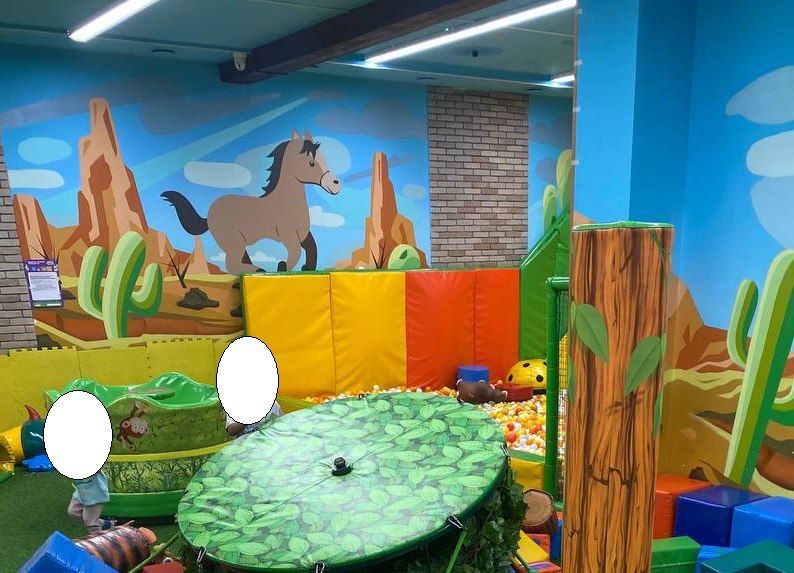 В Железнодорожном районе следователем СК по информации СМИ о падении на ребенка навершия от детской карусели возбуждено уголовное дело