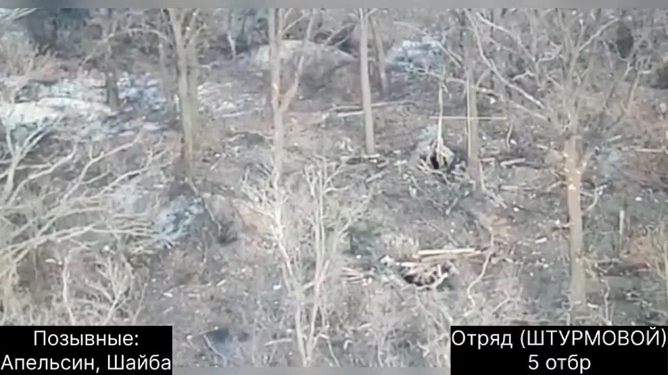 Два майора: Боевое метание противотанковой мины вручную