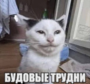  ). 20   : ,  ,    