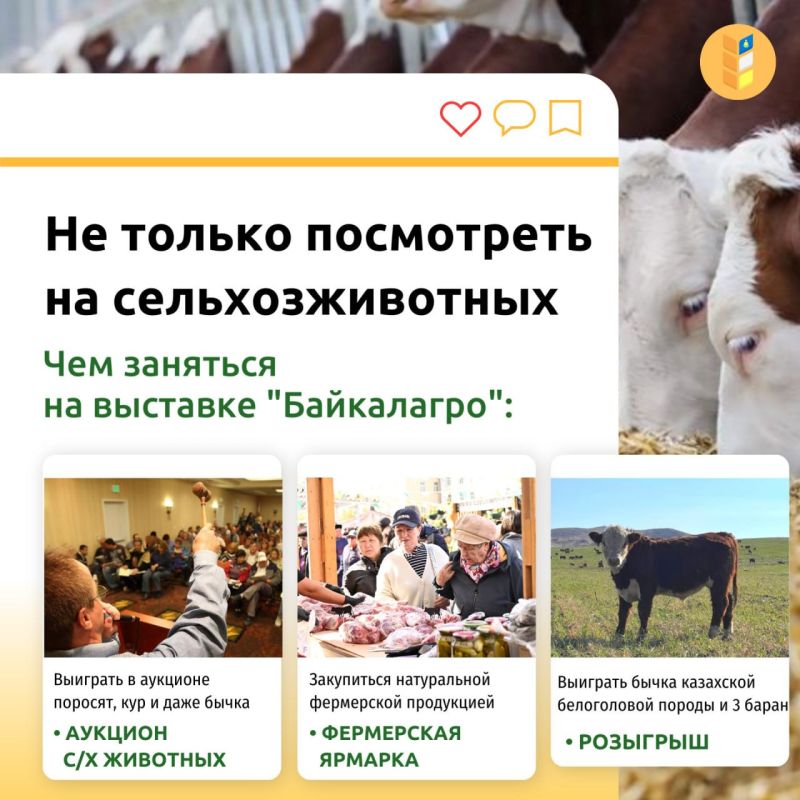 Улан-удэнцев приглашают на сельскохозяйственную выставку