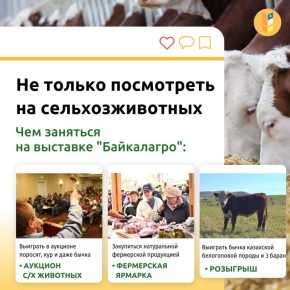 Улан-удэнцев приглашают на сельскохозяйственную выставку
