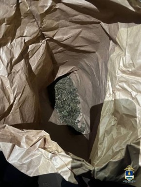 Полицейские Иволгинского района изъяли из незаконного оборота более 200 граммов марихуаны