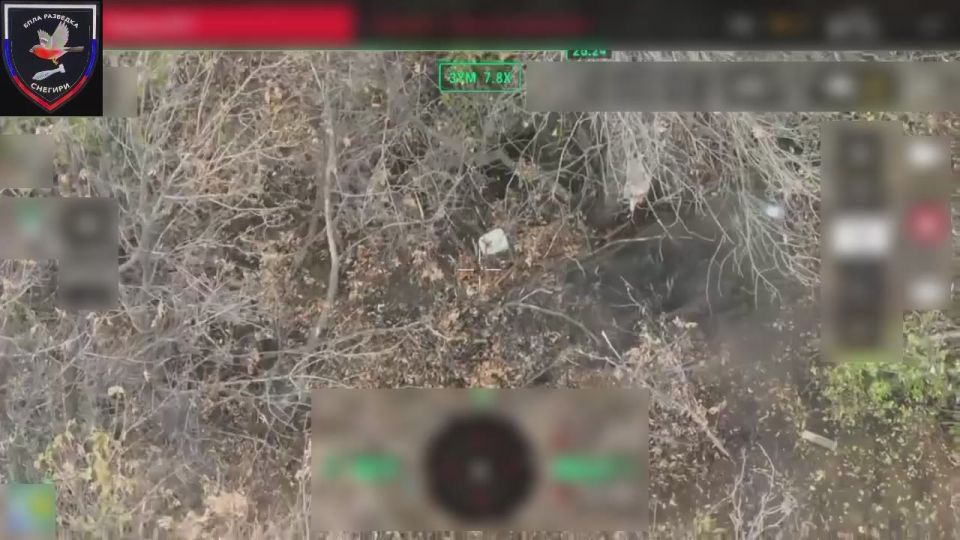    37      &quot;&quot;    ,   