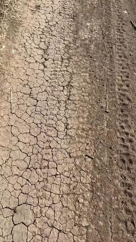 &quot;  -   !&quot;.  37             