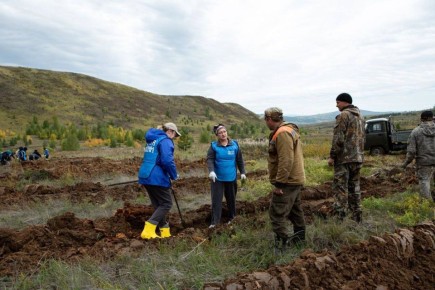 В Бурятии высадили более 20 миллионов молодых сосен в ходе масштабной лесовосстановительной кампании