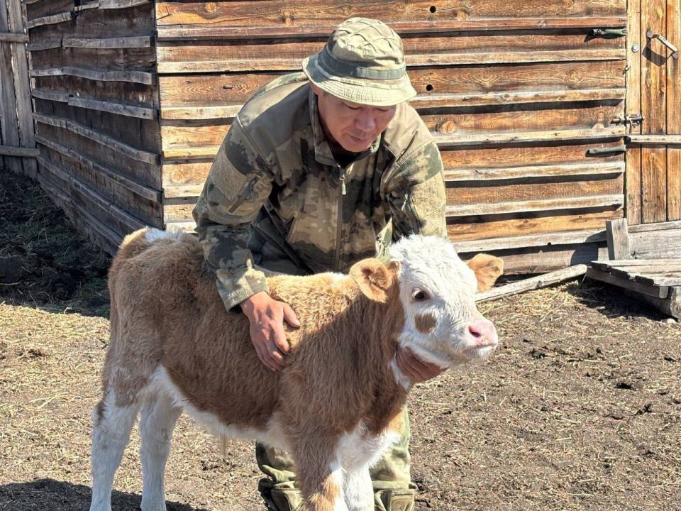 Ветеран СВО из Бурятии масштабирует ферму благодаря господдержке