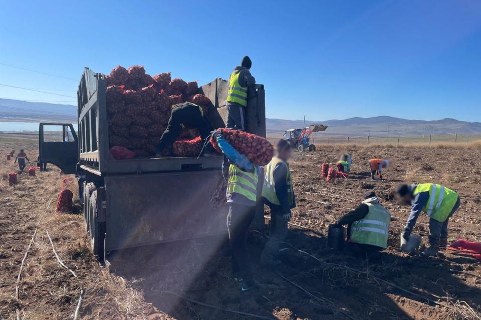 Осуждённые колонии-поселения №3 собрали рекордный урожай