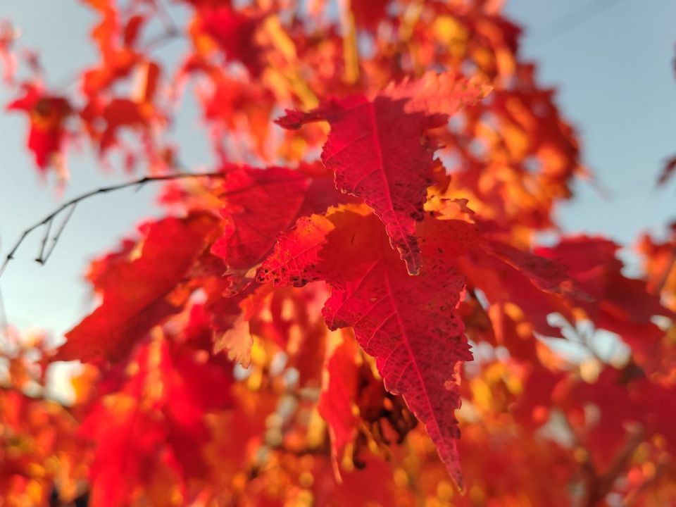 Розовый октябрь в Бурятии напомнил женщинам о внимании к себе